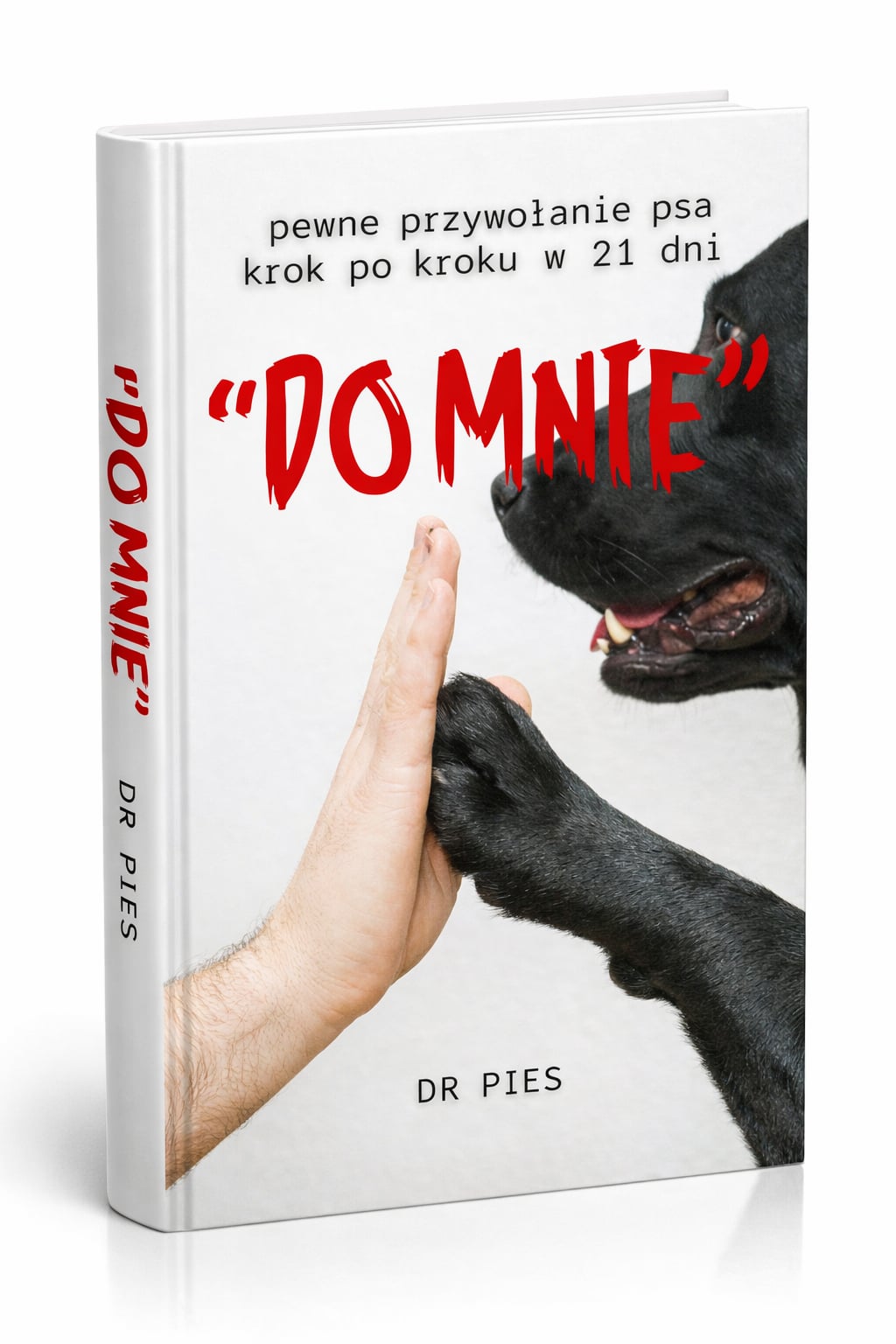 "DO MNIE" w 21 dni + BONUSY
