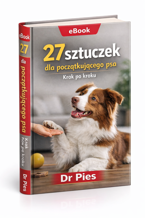 27 sztuczek dla początkującego psa