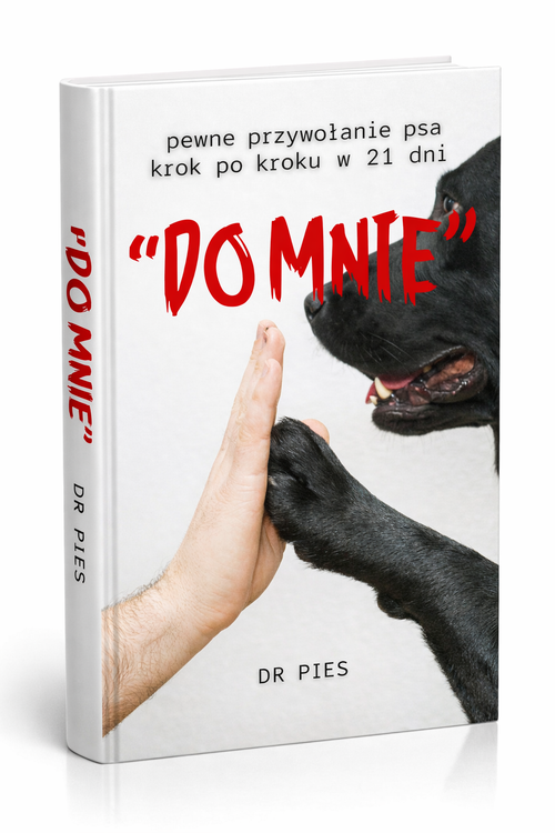 "DO MNIE' - pewne przywołanie psa krok po kroku w 21 dni - PDF