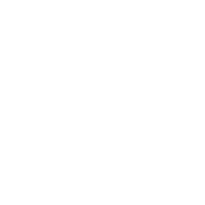 DrPies